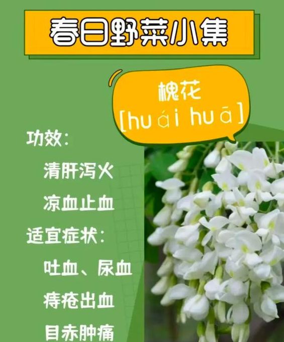 梦见洋槐花寓意解析深入探讨潜藏的心理暗示与生活启示