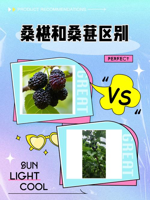 梦见桑椹预示哪些？解读象征意义与心理暗示的对比