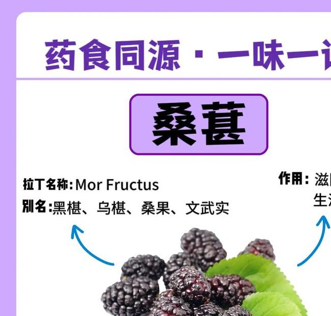 梦见桑椹预示哪些？解读象征意义与心理暗示的对比