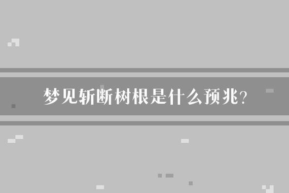 梦见树根深层解析超越表面情感，揭示潜在内涵！