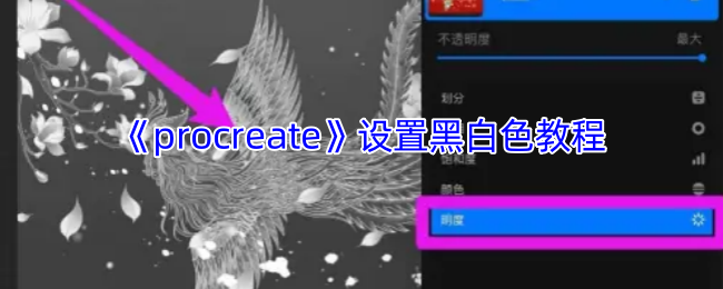 变身绘画大师：掌握Procreate黑白设置技巧，轻松提升创作水平