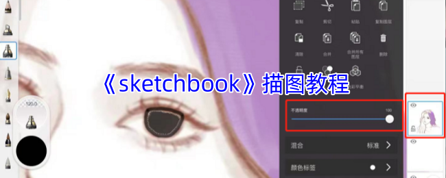 如何快速掌握Sketchbook手游绘图技巧? 如何快速掌握Sketchbook手游绘图技巧?