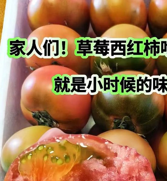 梦见西红柿深意解析隐藏的幸福征兆，探究梦境背后的心理密码！