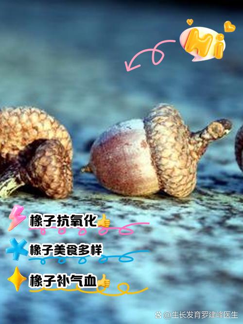 梦见橡子解析潜藏寓意与心理暗示，用户探索梦境背后的深层情感！