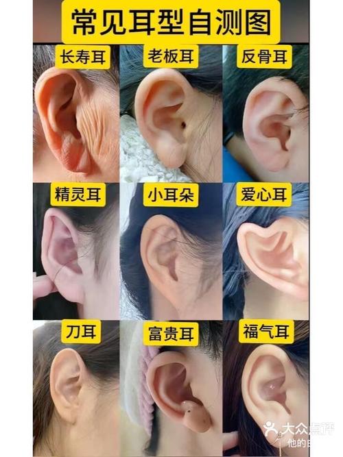 梦见耳环解析心理暗示 vs 命运预兆，哪个更真实？