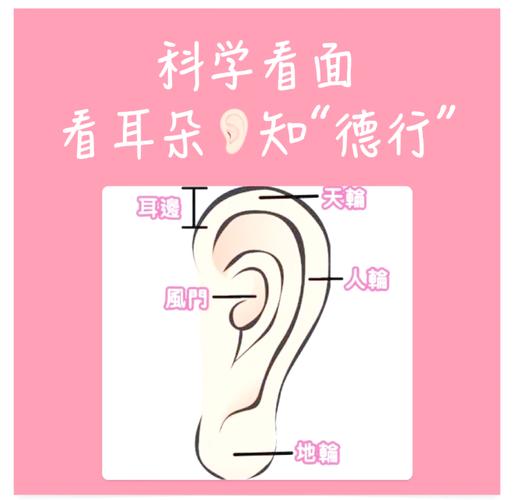 梦见耳环解析心理暗示 vs 命运预兆，哪个更真实？