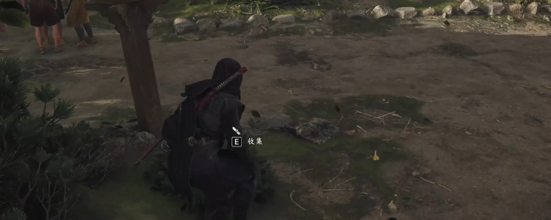 刺客信条：影金阁寺卷页位置详解 | 单游攻略高效指南