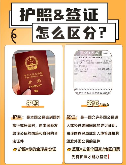 梦见旅行护照暗示 vs 现实护照办理技巧哪个更具启发？