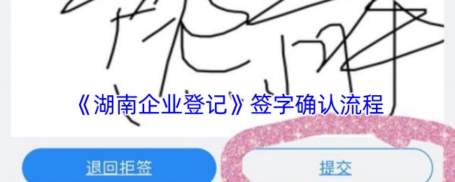 手游攻略：湖南企业登记签字确认全流程详解，助你轻松过审！