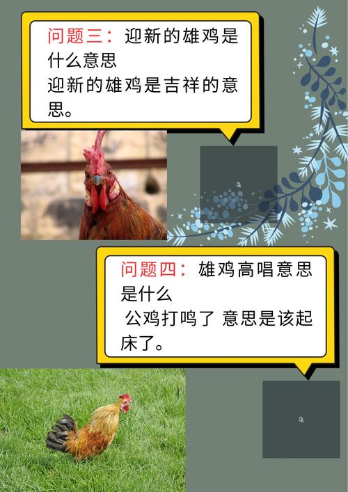 梦见公鸡意味着哪些?解读公鸡梦境的心理学与生活启示 梦见公鸡意味着哪些?解读公鸡梦境的心理学与生活启示