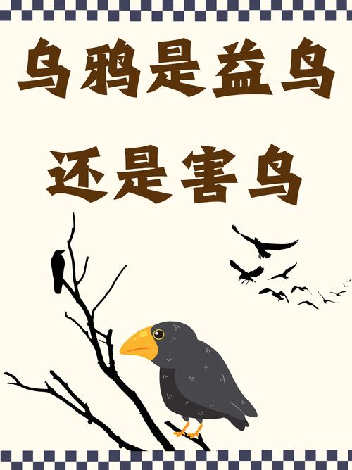 梦见乌鸦画圈飞翔意味着哪些？解读梦境符号背后的秘密