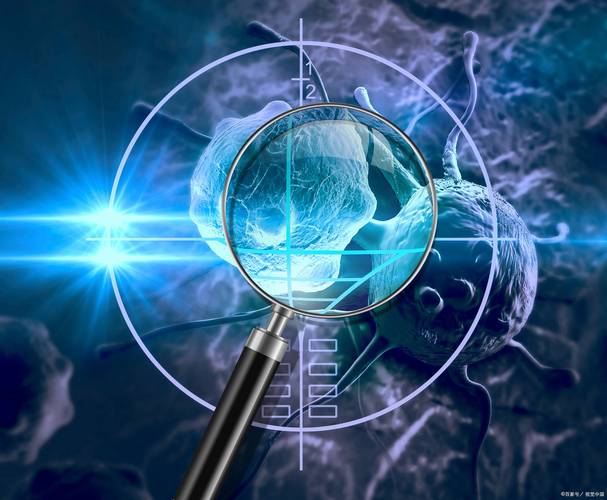 梦见榔头象征解析心理暗示与未来决策的深层解读 梦见榔头象征解析心理暗示与未来决策的深层解读