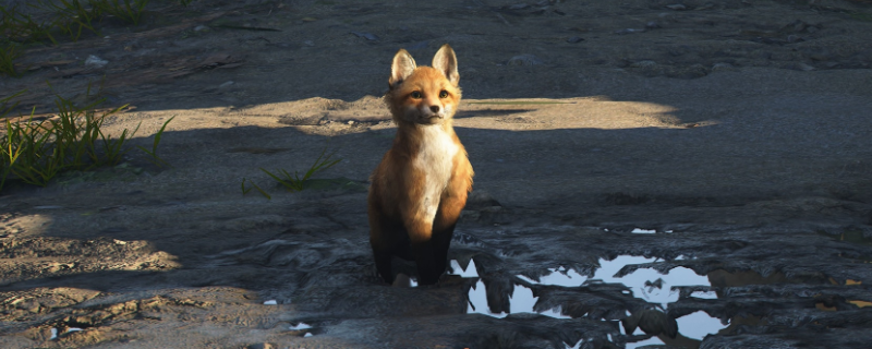 刺客信条影：如何一试锋芒成就完整攻略与技巧