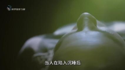 梦见死尸意味着哪些?解读梦境背后的心理暗示 梦见死尸意味着哪些?解读梦境背后的心理暗示