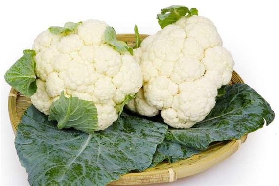 梦见遍地菜花预示与现实生活的关系与对比分析