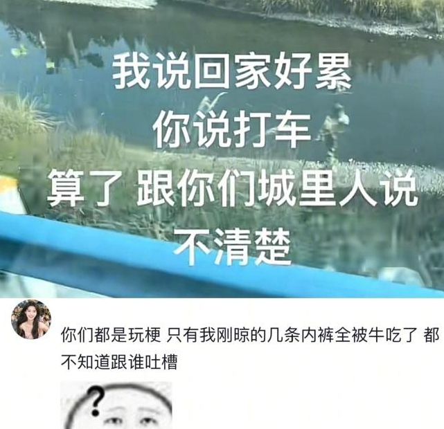 你是否也被手游攻略难倒？‘算了和你们城里人说不清楚’梗让你豁然开朗！