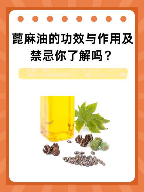 梦见蓖麻油象征哪些？深入解析及高效应对方案