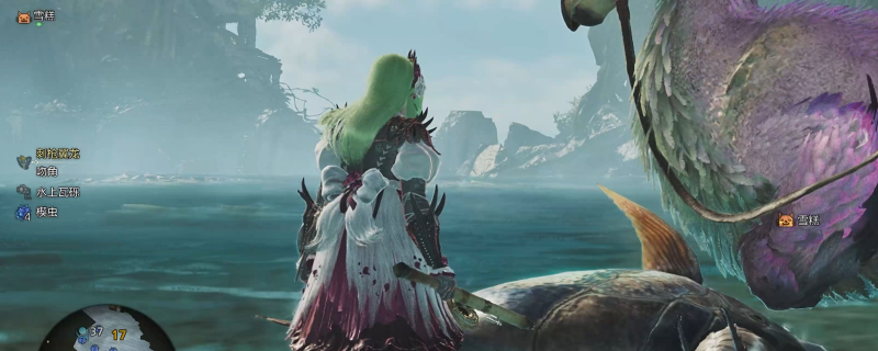 如何高效钓获怪物猎人：荒野中的稀有大鱼？