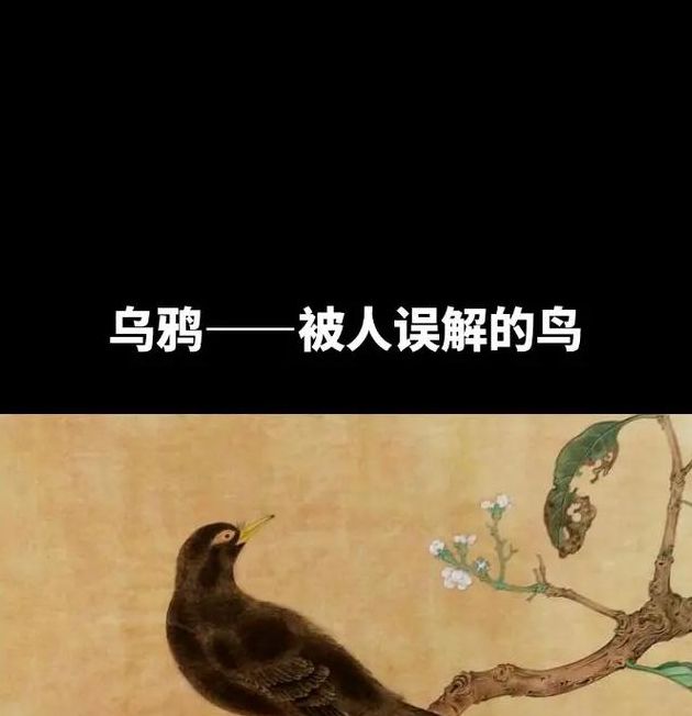 解读梦境乌鸦画圆圈飞翔的象征含义及心理启示