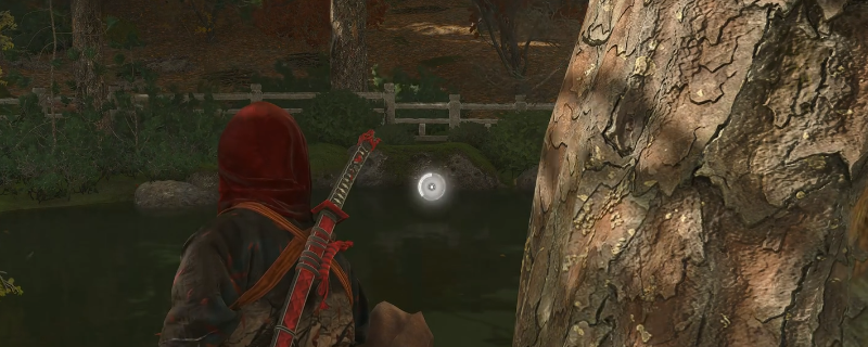 刺客信条：影攻略：锦鲤墨绘位置全揭秘 | 快速掌握高效探索技巧