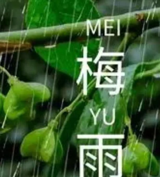 梦见细丝绵绵的梅雨意味着哪些?解梦专家详解寓意与影响 梦见细丝绵绵的梅雨意味着哪些?解梦专家详解寓意与影响