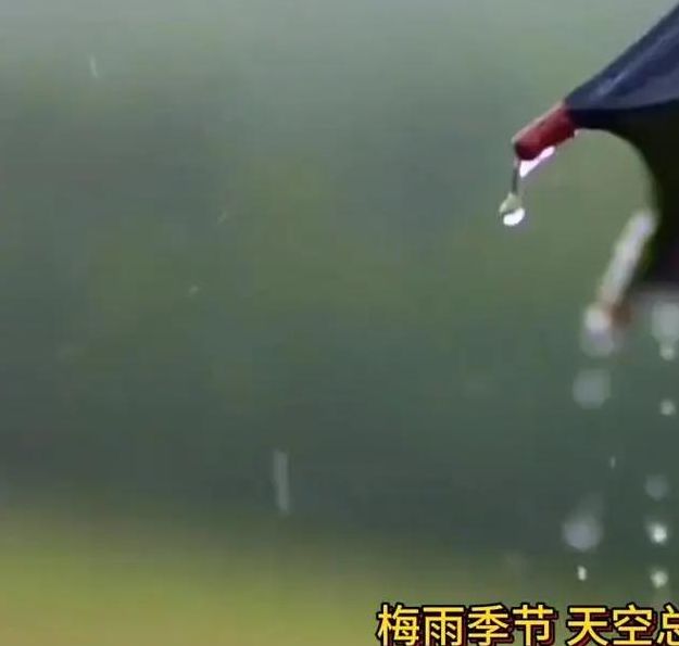 梦见细丝绵绵的梅雨意味着哪些?解梦专家详解寓意与影响 梦见细丝绵绵的梅雨意味着哪些?解梦专家详解寓意与影响