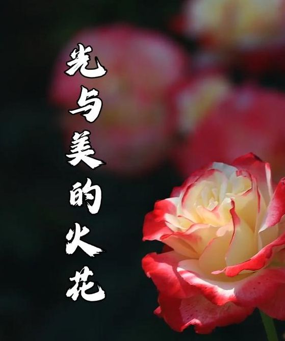 梦见火花象征哪些?深入解读与生活启示,给您独特心灵指引! 梦见火花象征哪些?深入解读与生活启示,给您独特心灵指引!