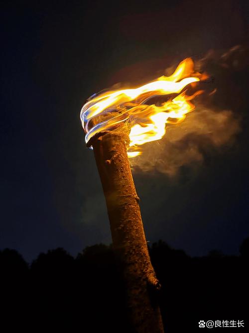 梦见火把预示哪些？解读背后的深层含义与启示