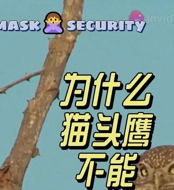 梦见猫头鹰的7个深度解析心理学专家解读与运势影响