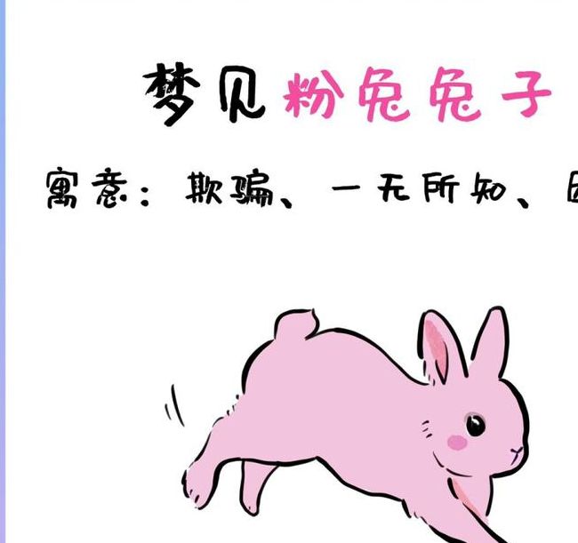 梦见兔子寓意解析解读3大心理暗示