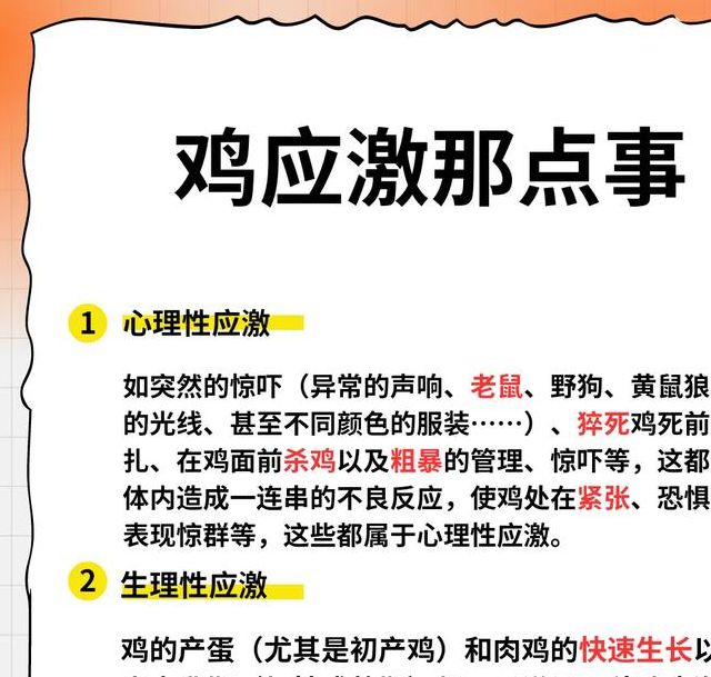 梦见鸡肉预示哪些？解读你的梦境与运势关系