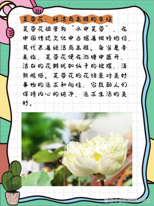 梦见芙蓉花意味着哪些？解读梦境暗示及心理启示