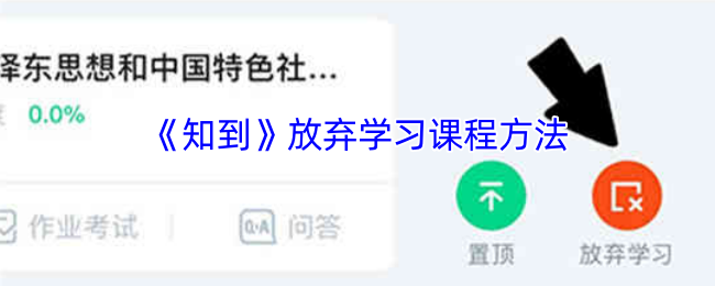 掌握知到手游攻略技巧，轻松优化学习路径