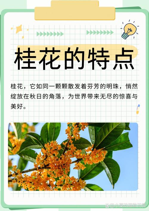 梦见月桂花象征哪些？揭示梦境背后的心理暗示与生活启示
