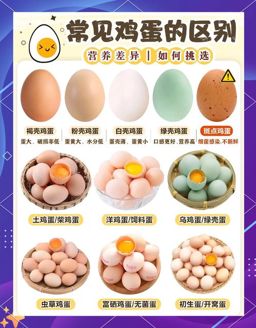 揭开梦见蛋类象征意义，获取心理健康指南