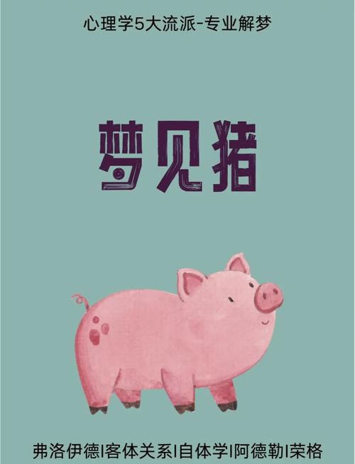梦见小猪含义深度解析揭开好运密码，提升生活幸福感