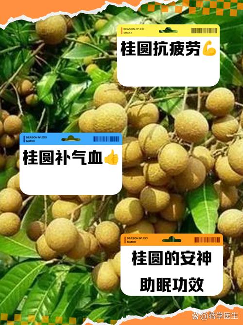 梦见桂圆象征哪些？你了解这些隐藏寓意吗？