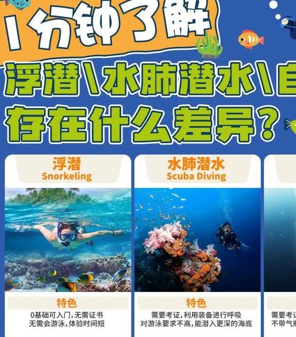 梦见潜水的深层含义及其对生活决策的启示 梦见潜水的深层含义及其对生活决策的启示