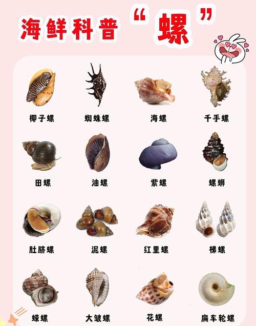 梦见海螺的深刻寓意,解析唤醒内心深处的神秘情感! 梦见海螺的深刻寓意,解析唤醒内心深处的神秘情感!