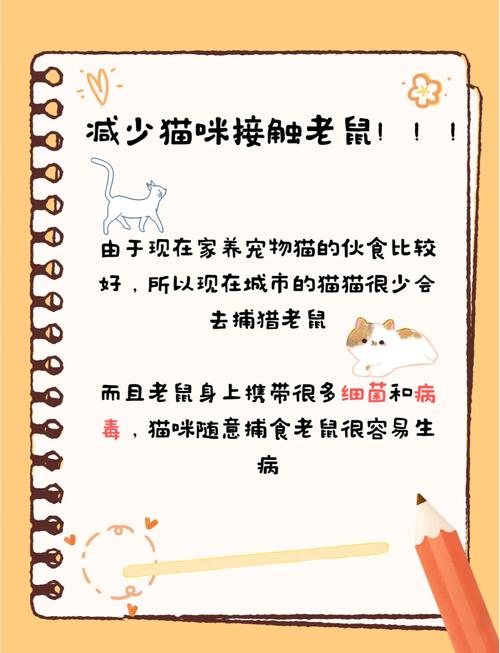 梦见猫抓老鼠意味着哪些？揭示背后的心理暗示与生活关联