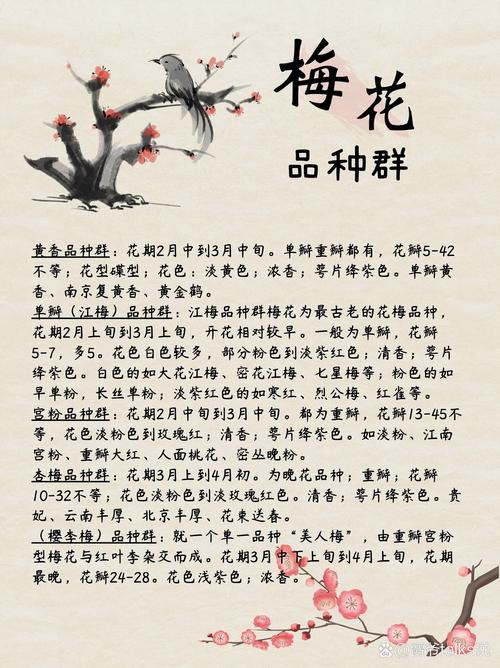 梦见梅花牌解读梦境的5大权威分析