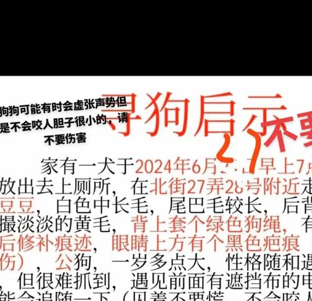 解梦指南梦见灰狗的7种象征含义与现实启示 解梦指南梦见灰狗的7种象征含义与现实启示