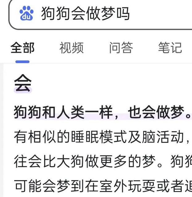 解梦指南梦见灰狗的7种象征含义与现实启示 解梦指南梦见灰狗的7种象征含义与现实启示