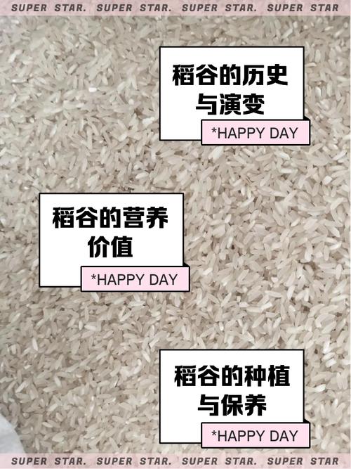 梦见稻谷寓意分析揭示未来财富增长潜力与个人机遇! 梦见稻谷寓意分析揭示未来财富增长潜力与个人机遇!