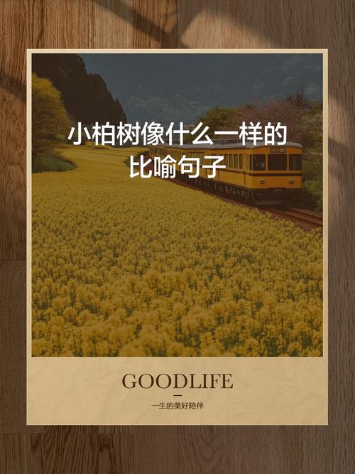 梦见松柏象征哪些？解析人生启示与心理暗示