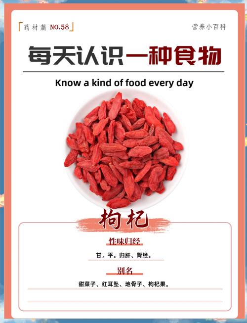 梦见枸杞的深层寓意，解析如何启迪生活中的健康与好运！