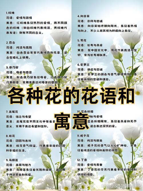 详解梦见假花的十大心理意义与解析指南 详解梦见假花的十大心理意义与解析指南