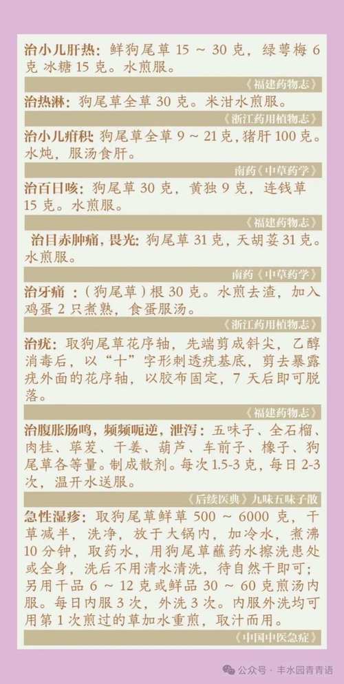 梦见草药寓意详解高效解决方案及健康启示