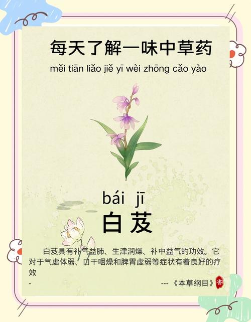 梦见草药寓意详解高效解决方案及健康启示