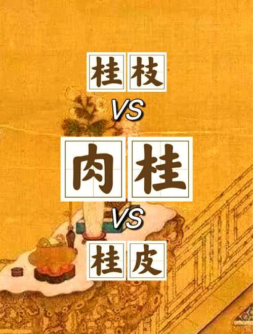 梦见桂皮的5大解读专家详析与心理影响 梦见桂皮的5大解读专家详析与心理影响